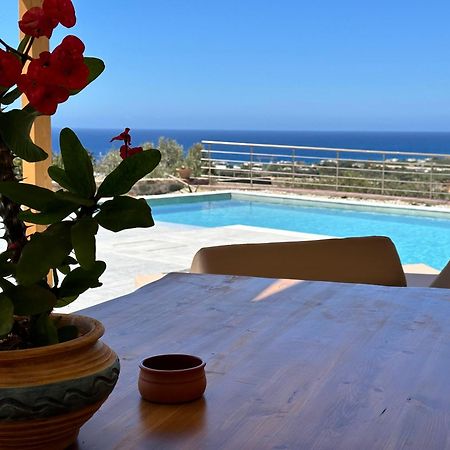Mediterranean View Villa Makrýgialos Exteriör bild